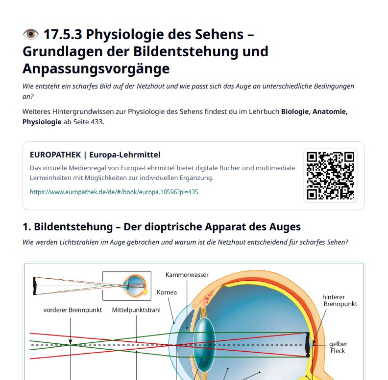 PDF Export für Lehrkräfte